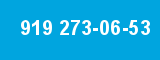 919 273-06-53 919 273-06-53